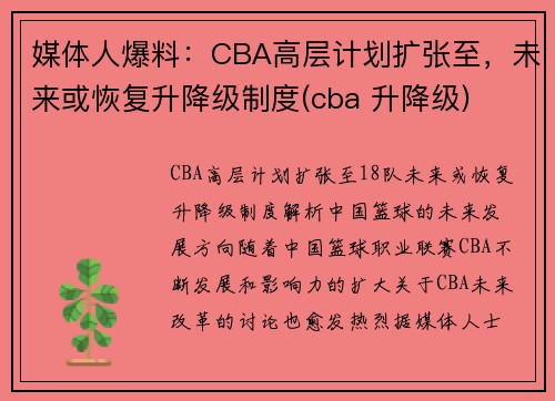 媒体人爆料：CBA高层计划扩张至，未来或恢复升降级制度(cba 升降级)
