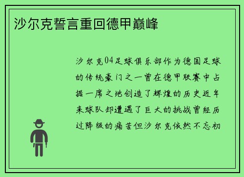 沙尔克誓言重回德甲巅峰
